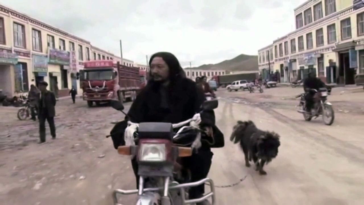 old dog pema tseden