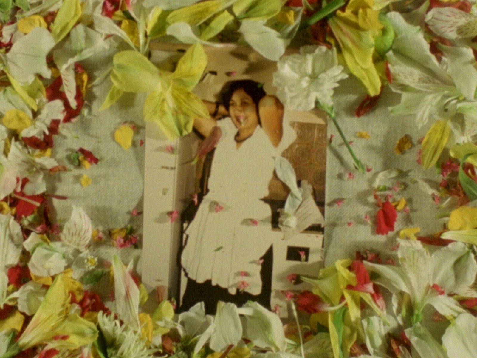 mother, you have not died yet. but you will. and when you do, you will finally be alive again.